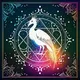 Cosmic Cards