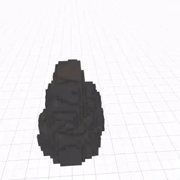 Item #55 Media
