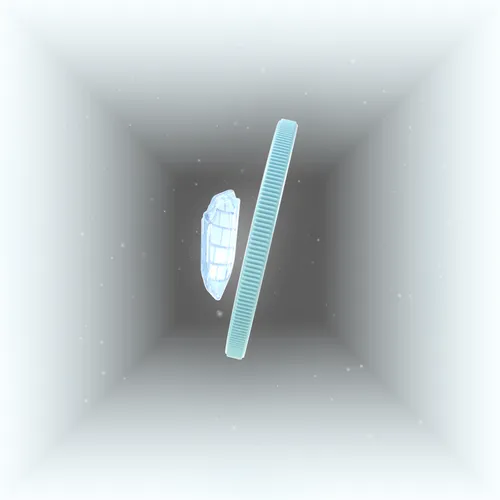 Item #5 Media