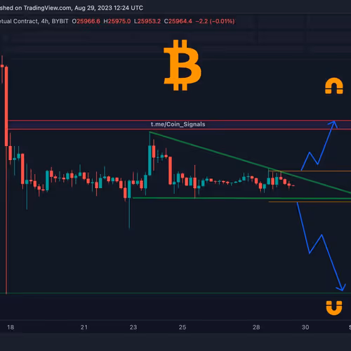 kingjunaid12.lens-Collect-3017