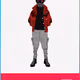 Robbies V3