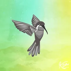 The Hummingbird Palette #4072