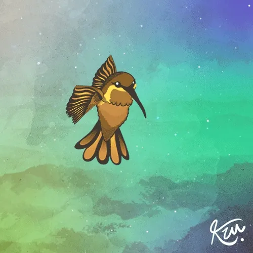 The Hummingbird Palette #2543