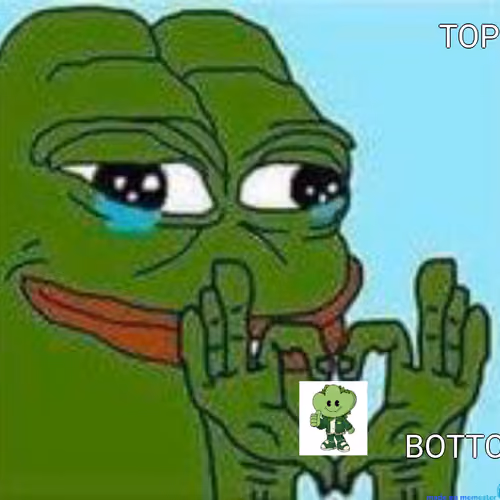 Made on memester