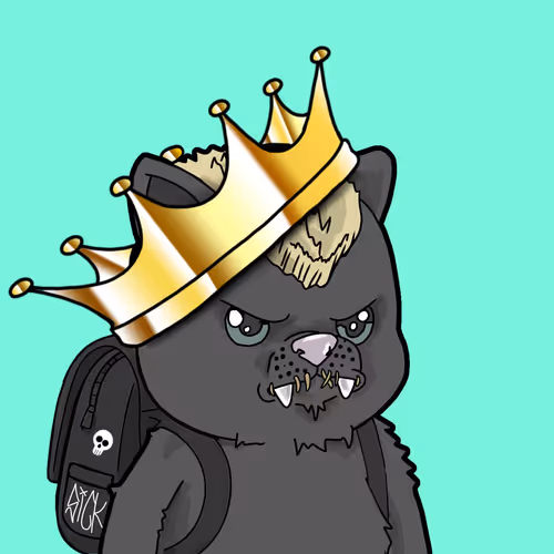 Snout Zoo 2025