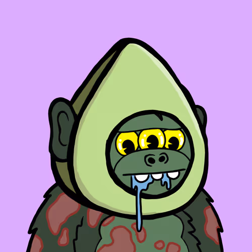 Snout Zoo 2025
