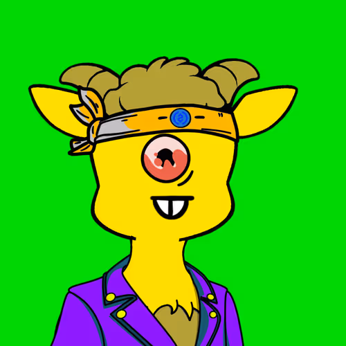 Snout Zoo 2025