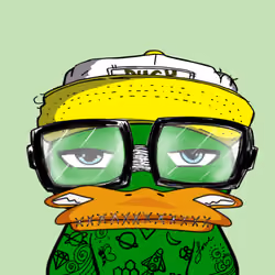 Snout Duck #205