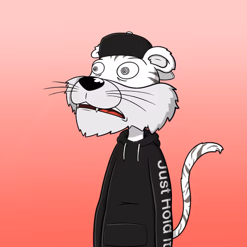 Snout Zoo 2025