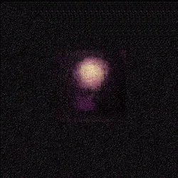 Item Media