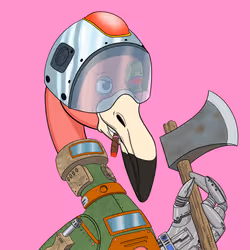 43