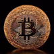 freedogecoin.lens-Collect-1843
