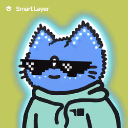 SmartCat#2426-1755002840