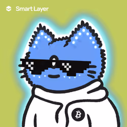 SmartCat#2426-139903923