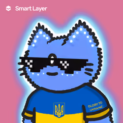 SmartCat#2426-3251104079