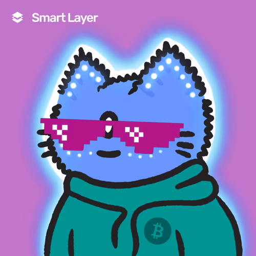 SmartCat#2426-2456594196