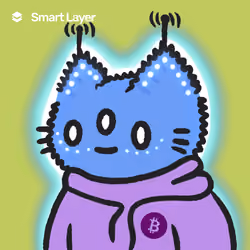 SmartCat#2426-1234598112