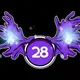 28