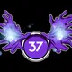 37