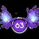 63