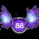 88