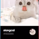 xiangcai V3