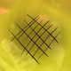 100192
