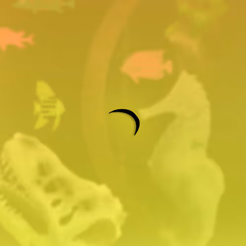 Feeshes Airdrops