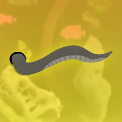 The Grey Tentacle