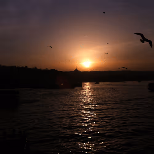 zxc12.lens-Collect-10