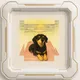 🪐 CiDrAliTO NFTs🛸