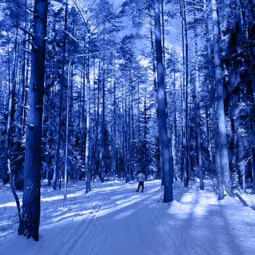 arturs.lens-Collect-588