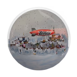 2022 Commemoration 3D Snow Globe Color 2 Rare #373