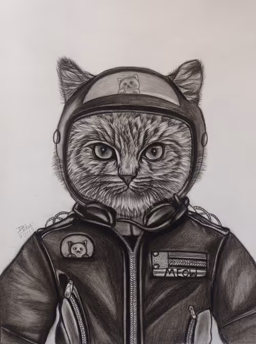 Item #87312358703437490796864051861064297504500884703273969303611474465163554324498 Media