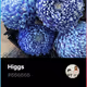 Higgs V2