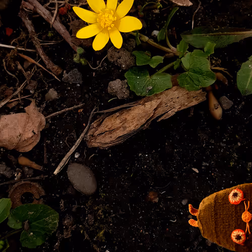 HRABI - SMELL THE FLOWERS