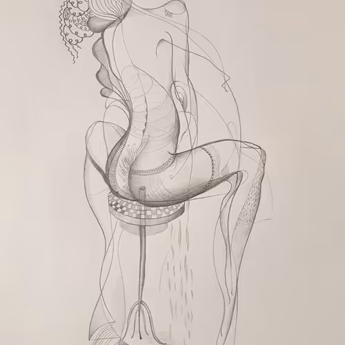 Damir Kleyn