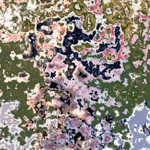 Item #47035936700203313078927698515332301489140149762769863796957411991181076725761 Media