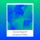 Duotone Polygons®