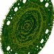 24522175992656702209651446705067193099297914455458670069