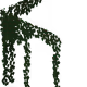 24572685390110561115999572416612438838225789317168378447