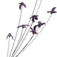 24716355173973888114142321640120824739245055316805828042