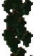 24601120365966471163176143308717766840656215140724519503
