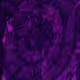 24520305270560918653916145988481316257032754861803660789
