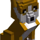 24520679488735106155068214964222991407475253127038110917