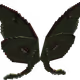 24521426730233512802741851031966435713198707788008180231