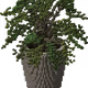 24522175893524405111146453068793764097066480288483127887