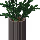 24600372077128157740882023022083416103750151303262515791