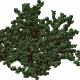 24520679315847778266558212495525062623254352613559120463