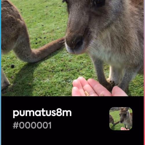 pumatus8m